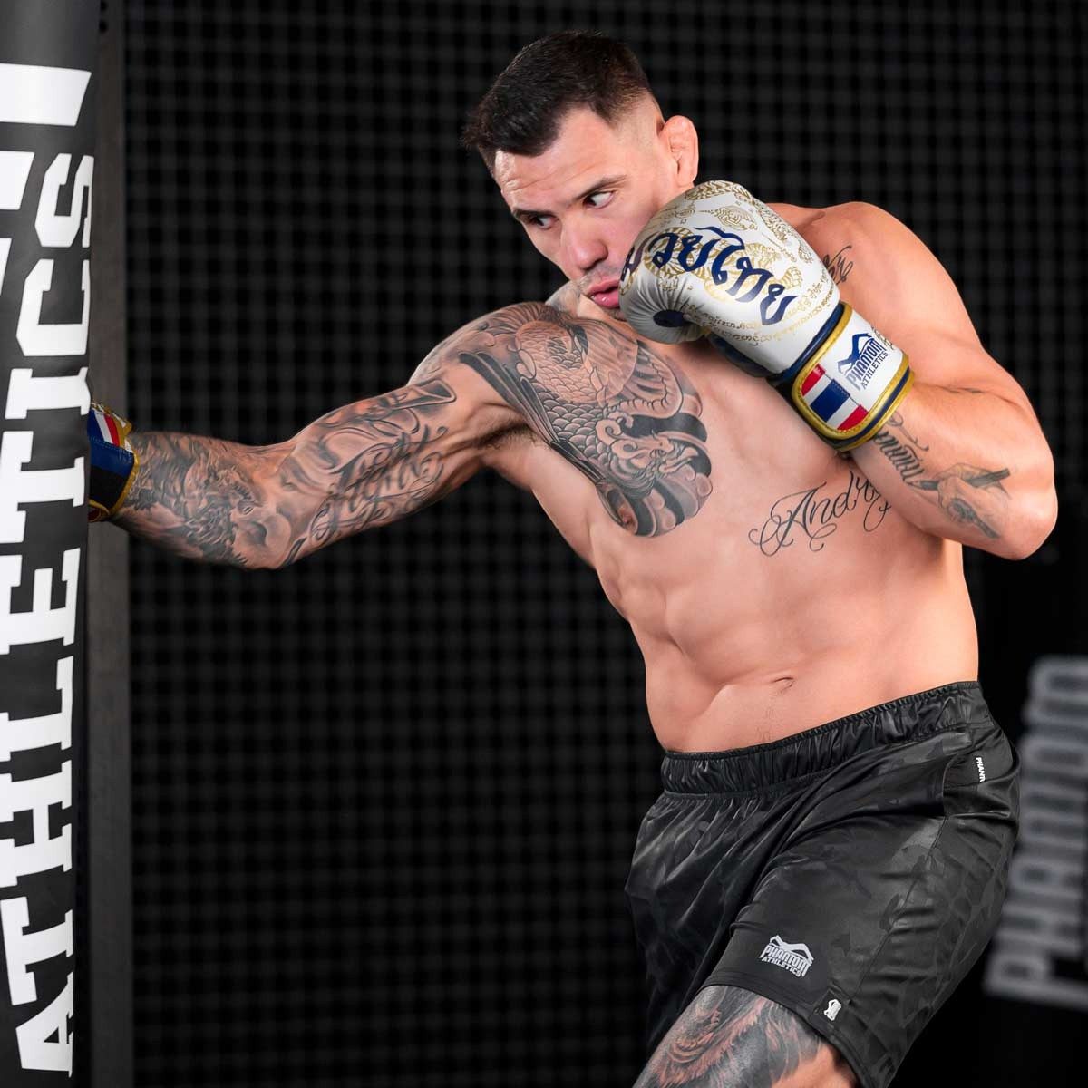 Боксерські рукавиці Phantom Muay Thai Gold Limited Edition 10 унцій (капа в подарунок)