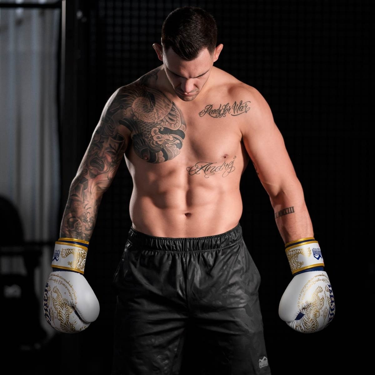 Боксерські рукавиці Phantom Muay Thai Gold Limited Edition 10 унцій (капа в подарунок)