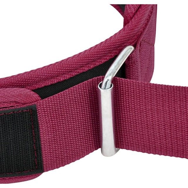 Пояс для важкої атлетики RDX RX5 Double Belt неопреновий Pink S