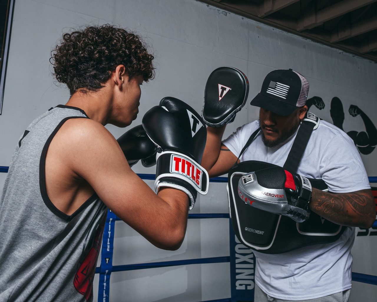 Лапи боксерські TITLE Boxing Aerovent Anarchy Punch Mitts Black/Silver