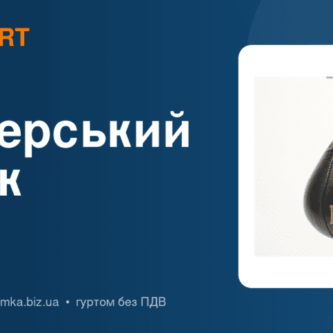Боксерський мішок чи груша: що обрати для залу і дому